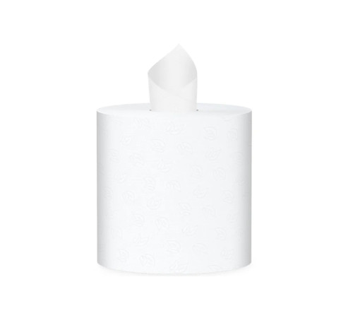 Бумажные полотенца PROtissue Comfort 1 слой, 120 м, без перфорации, белые. 12 рулонов, Сяський ЦБК С194