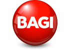 Bagi Professional Products ltd