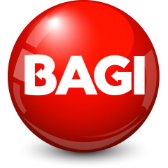 Bagi Professional Products ltd