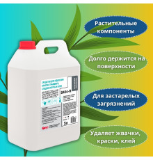 BIOSOAP PROFESSIONAL S404-R Средство для удаления краски, граффити, следов скотча и клея (готовое к применению), 5 л, АИС 9090295