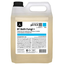 BT Bath Fungi + средство для удаления плесени с антимикробным эффектом, 5 л Prosept 903BT-5