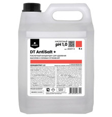 DT AntiSalt + Кислотное низкопенное средство для удаления высолов и солевых отложений, 5 л Prosept 102DT-5